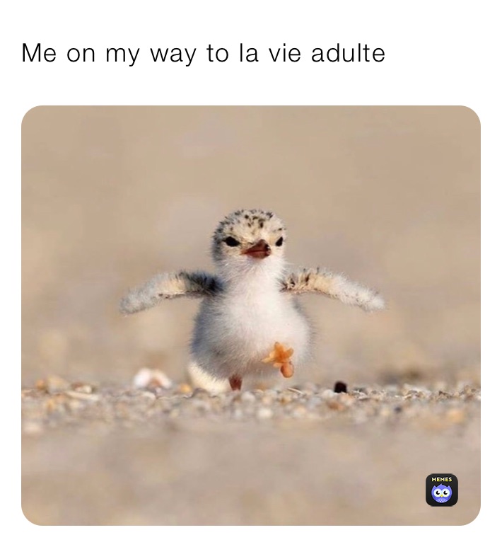 Meme by nataloche0506