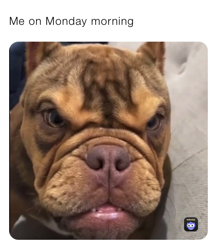 Meme by nataloche0506