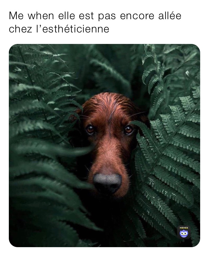 Meme by nataloche0506