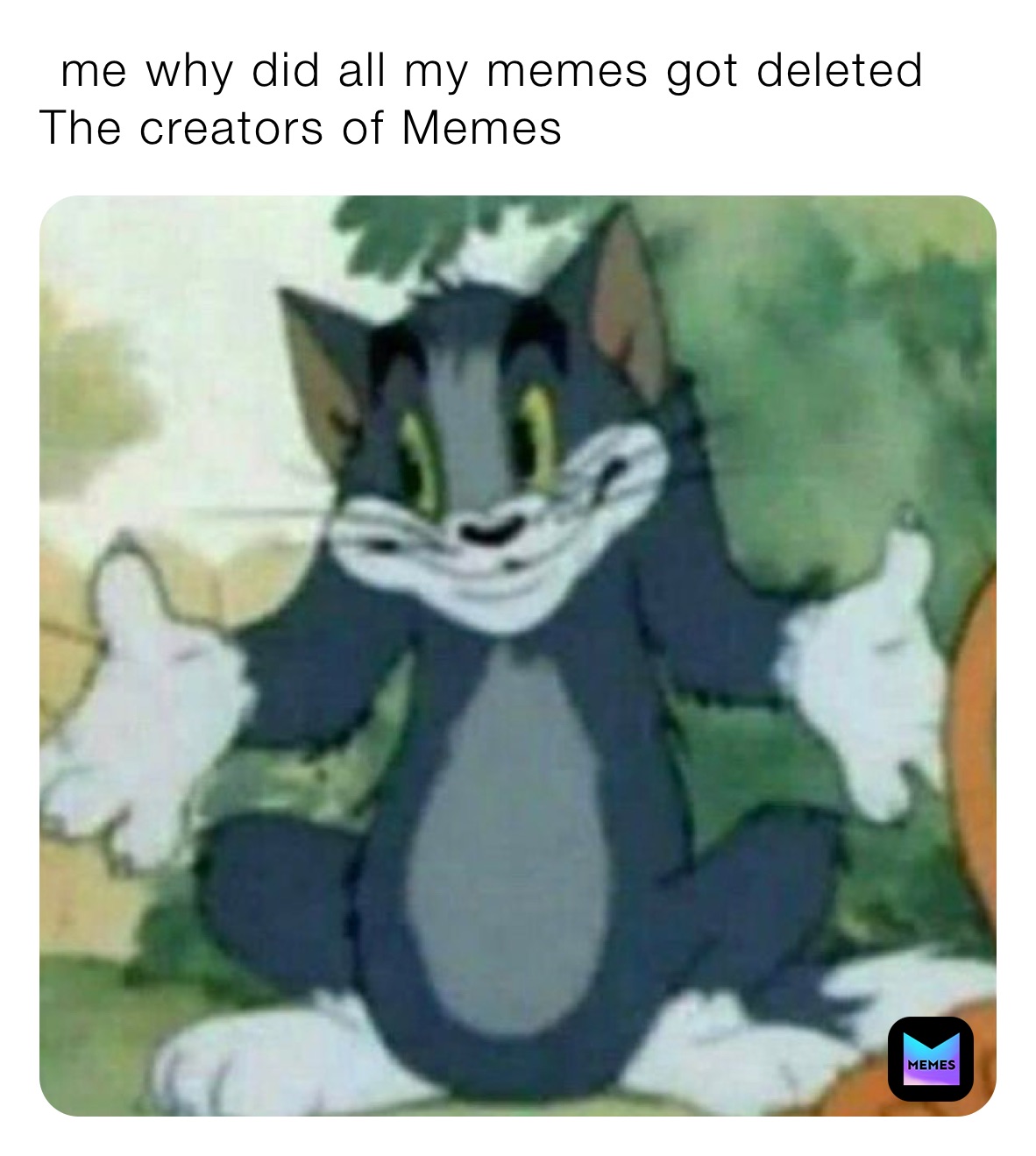 me-why-did-all-my-memes-got-deleted-the-creators-of-memes