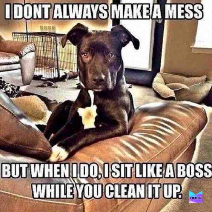 BOI WHY U MAKE MESS