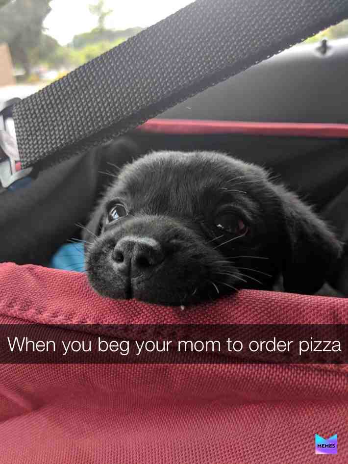 I want pizza >:(
