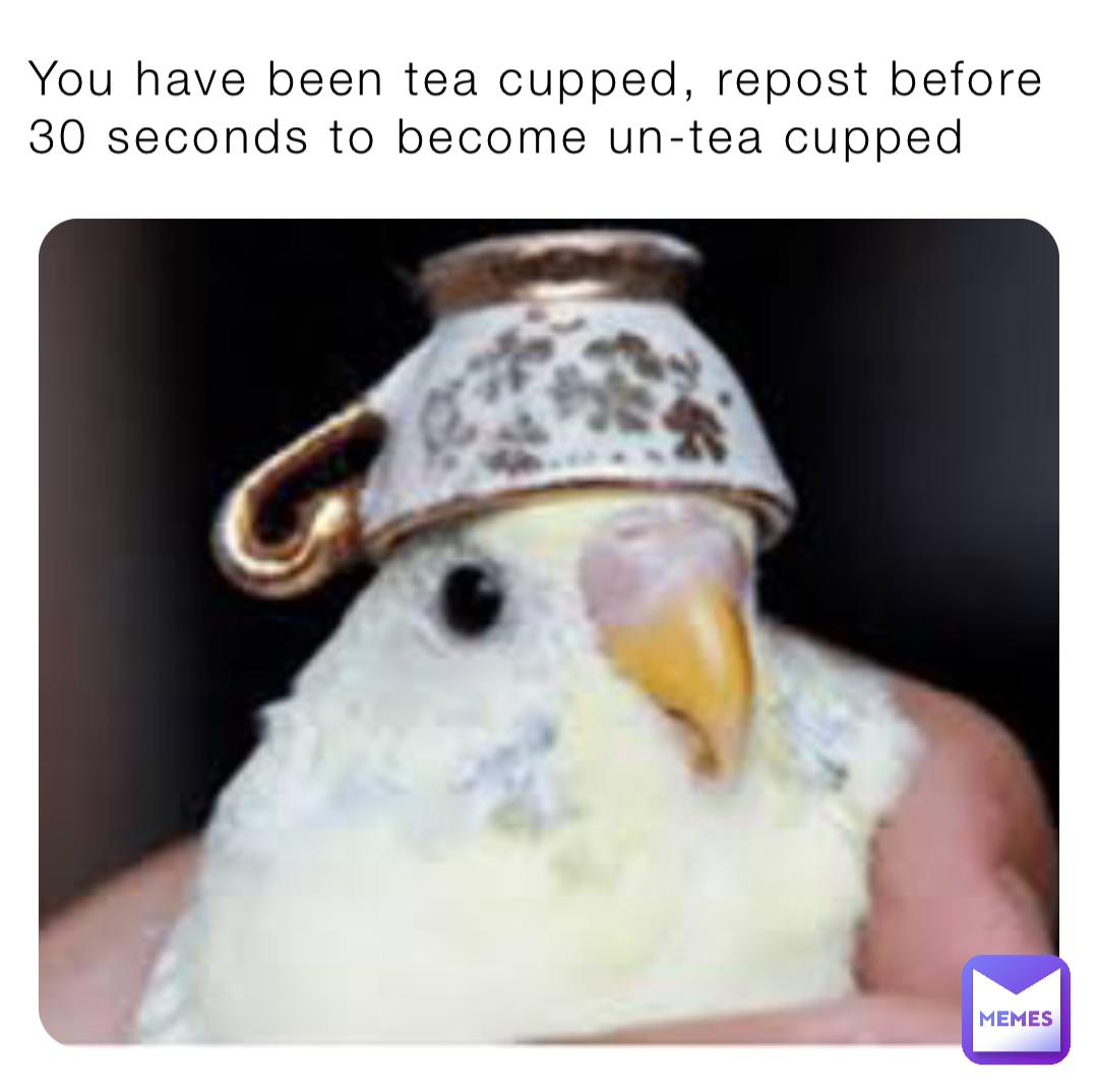 You have been tea cupped, repost before 30 seconds to become un-tea cupped