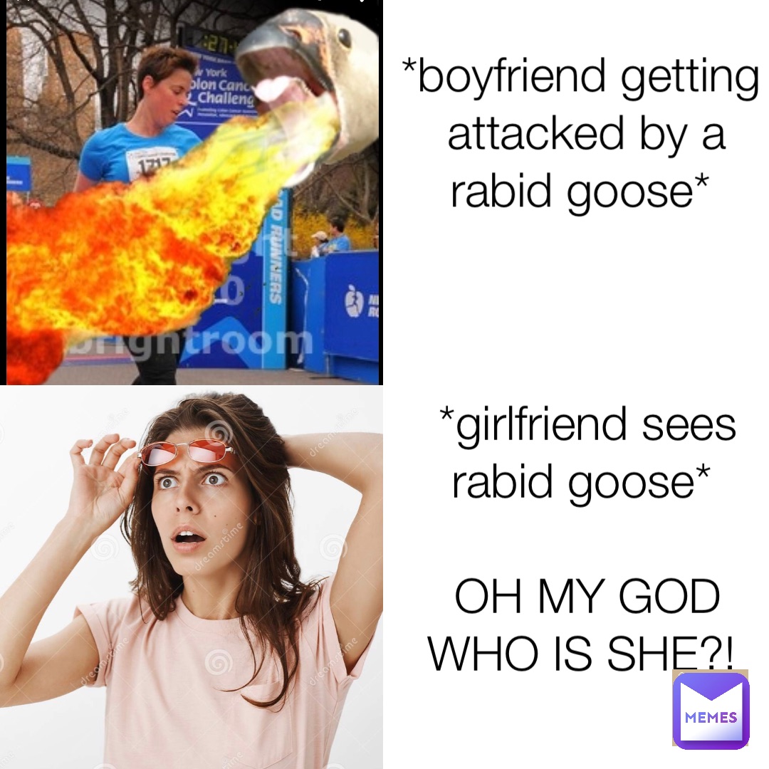 *boyfriend getting attacked by a rabid goose* *girlfriend sees rabid goose*

OH MY GOD WHO IS SHE?!