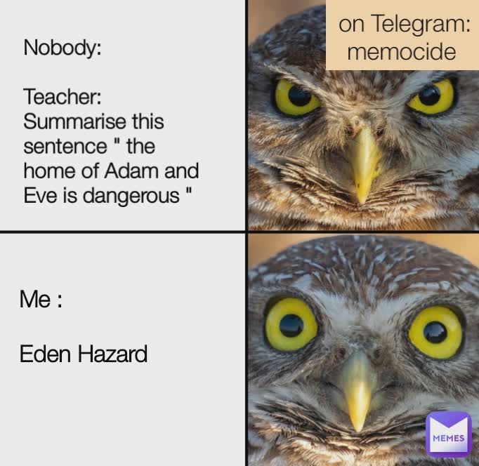 Meme by blablownblead