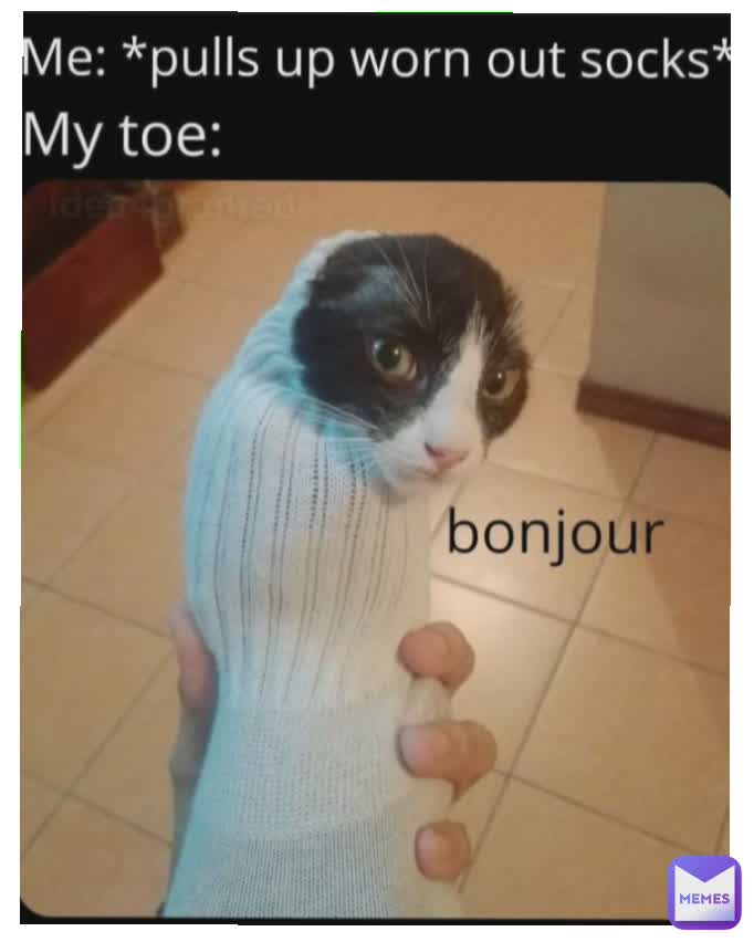 Type Text