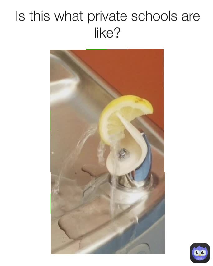 Is this what private schools are like?