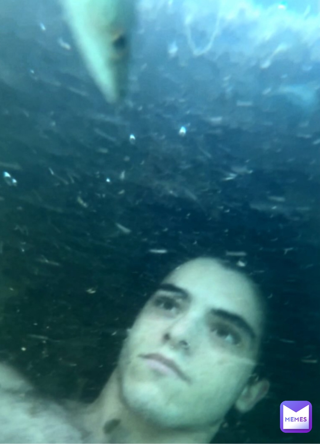 Meme by Cursedimages