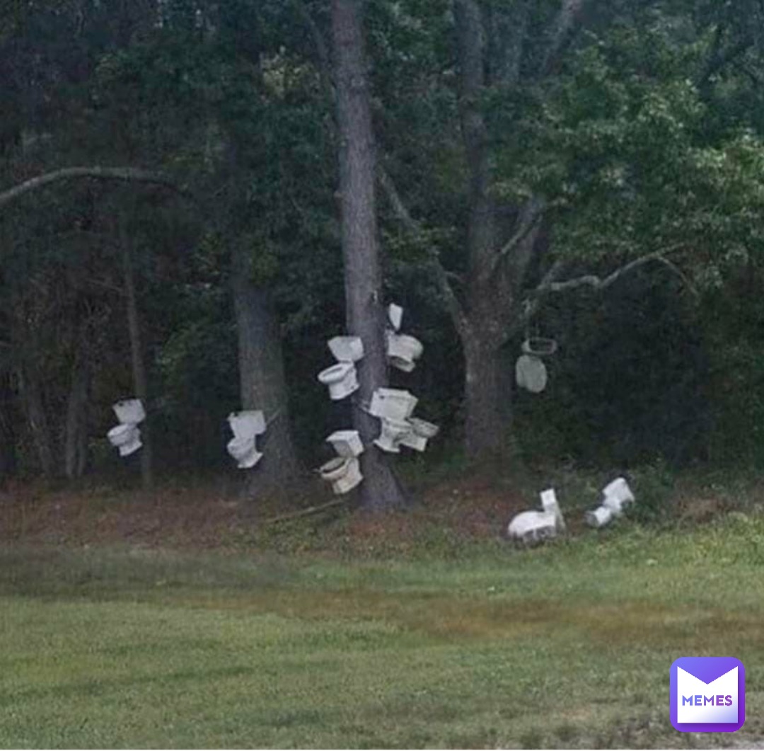 Meme by Cursedimages