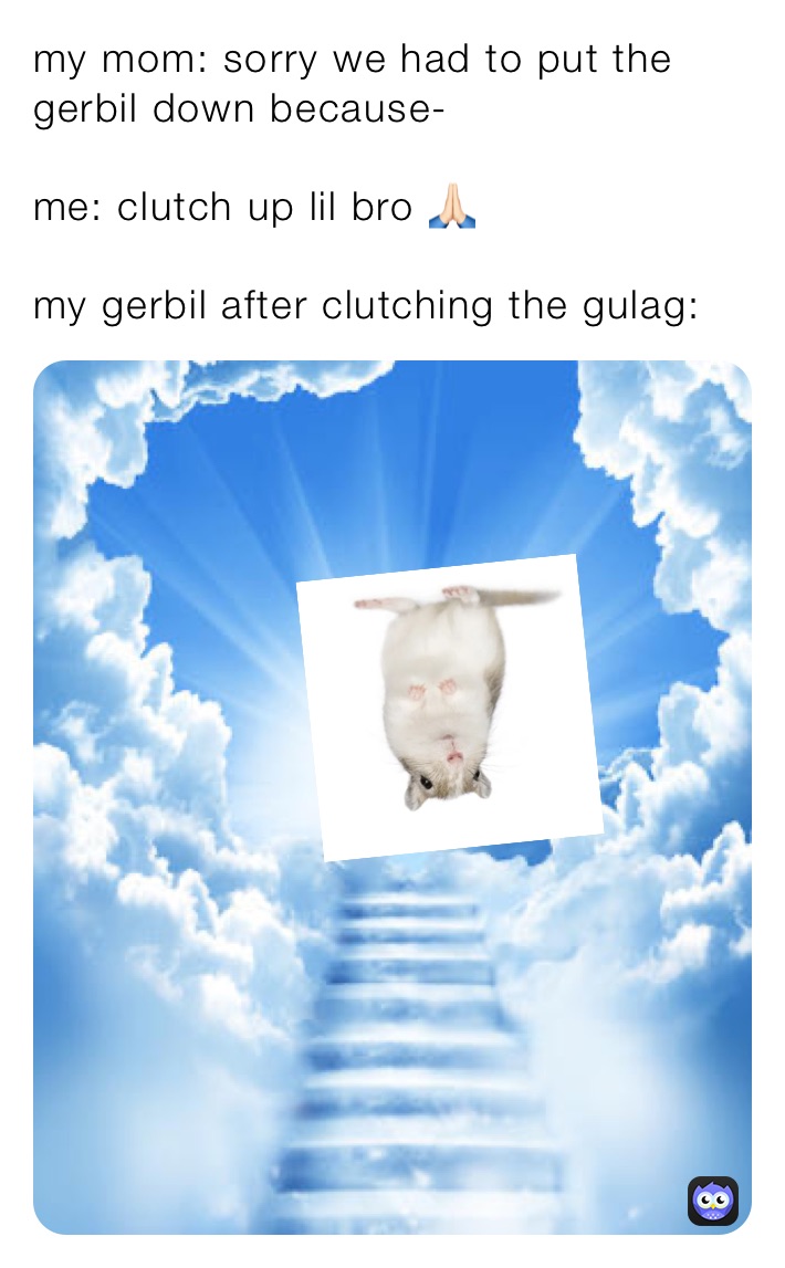 my mom sorry we had to put the gerbil down because me clutch up lil