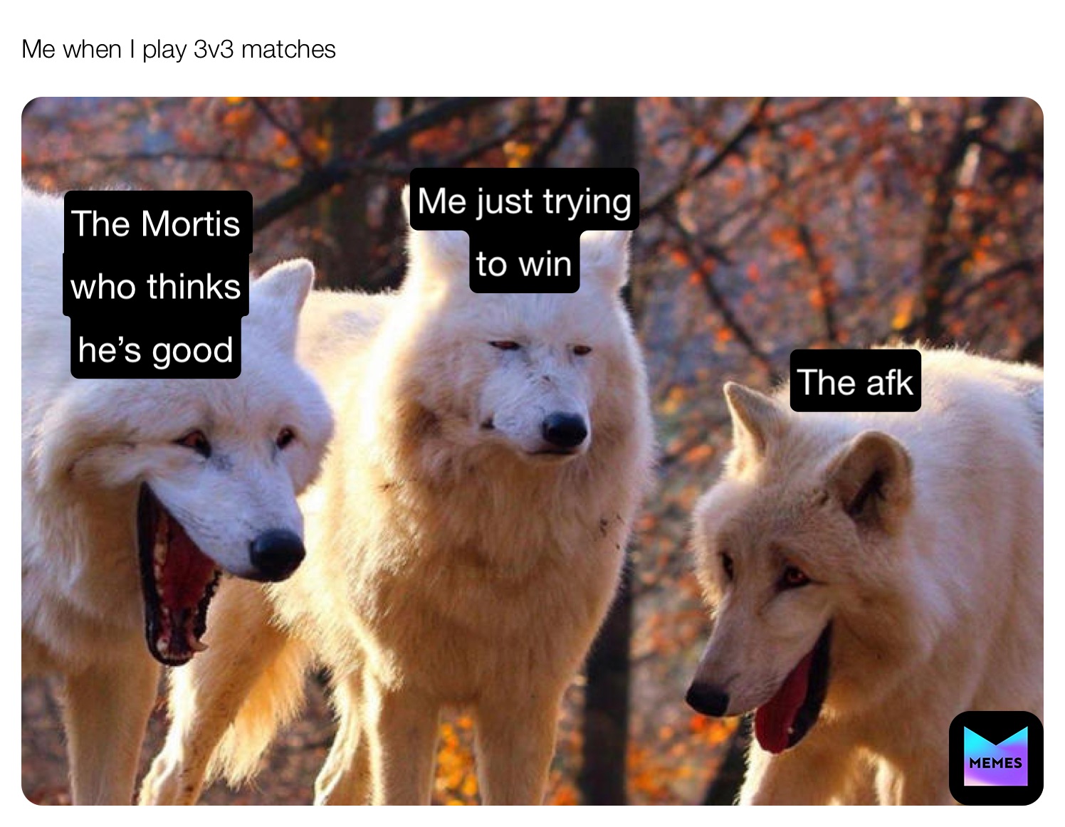 Meme by DilledPickle