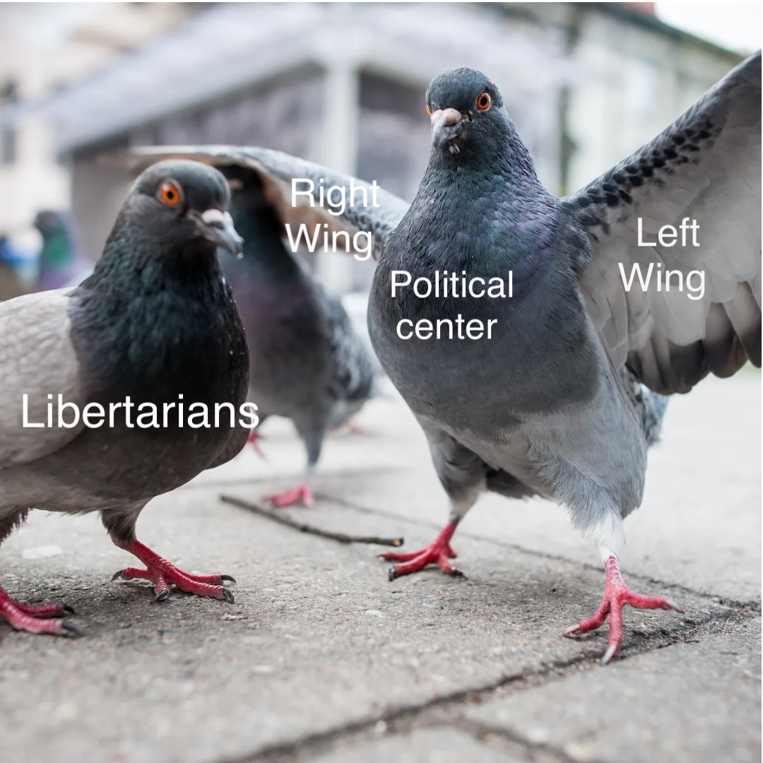 Double tap to edit Left 
Wing Right Wing Political 
center Libertarians