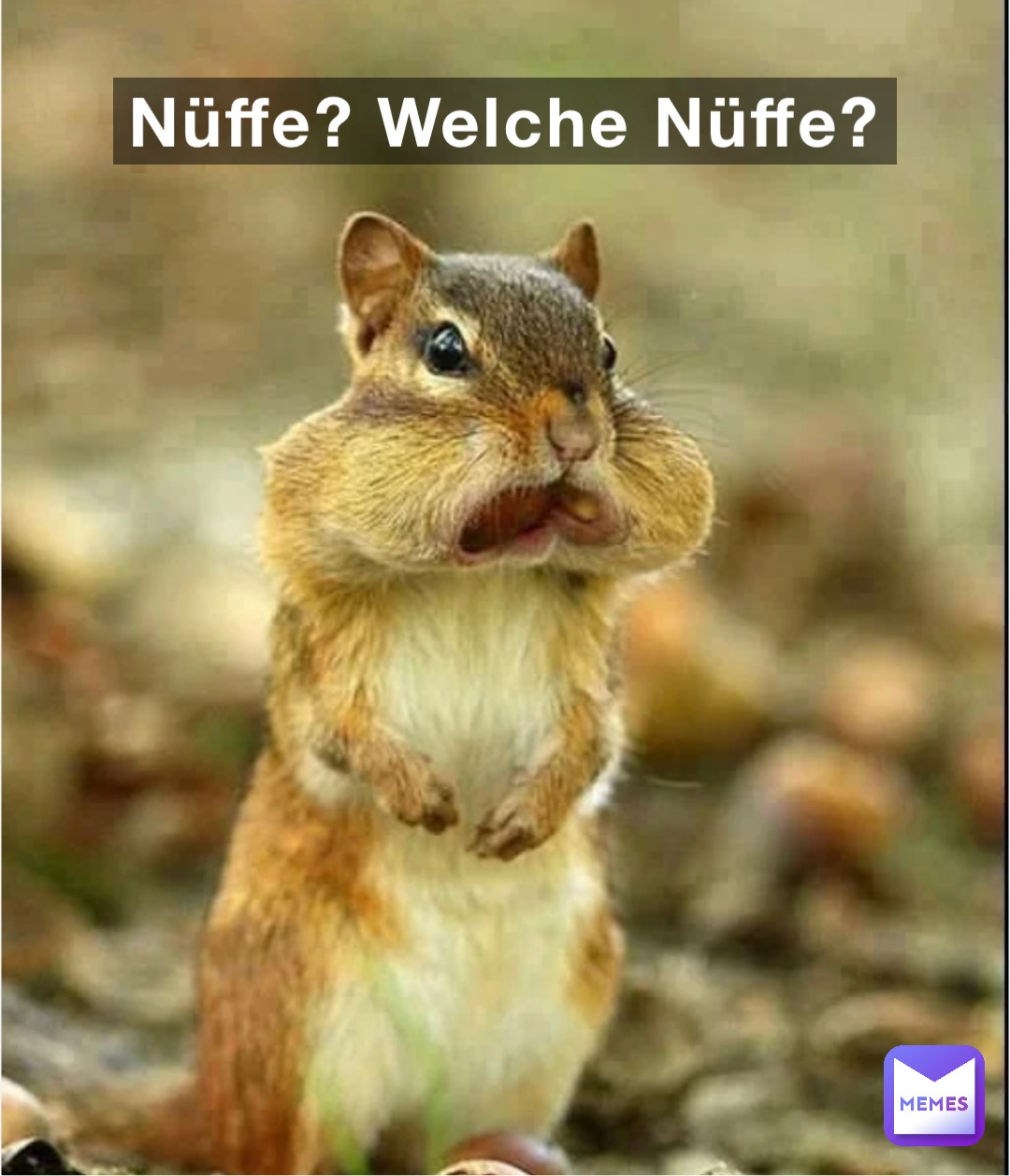 Meme by stefan.gerstmayr