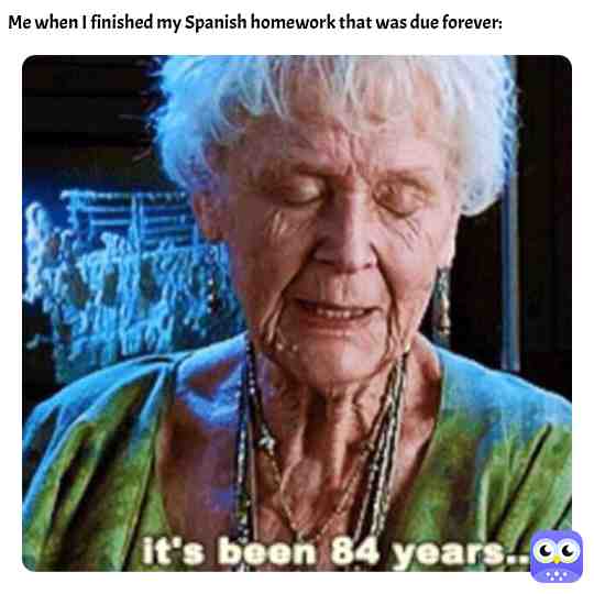 LAMO #schoolproblems #schoolprobs