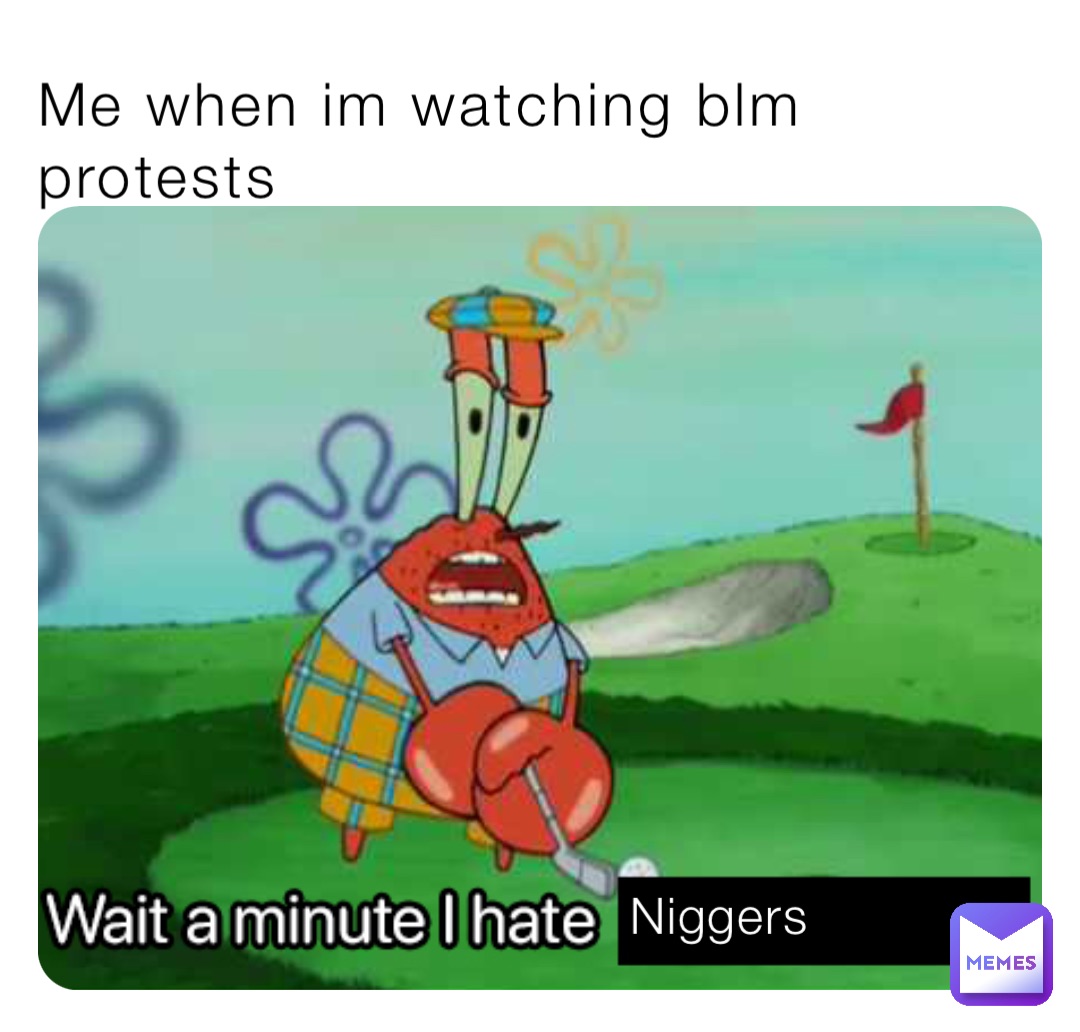 Me when im watching blm protests Niggers