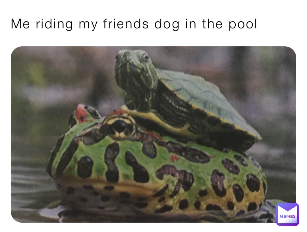 Me riding my friends dog in the pool