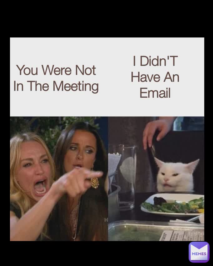 You Were Not In The Meeting I Didn'T Have An Email