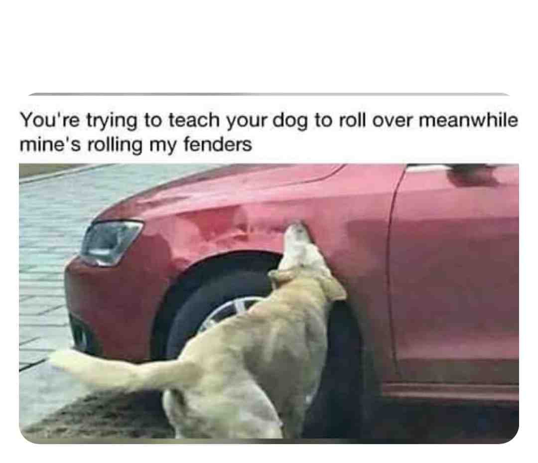 Meme shared by @deebo999