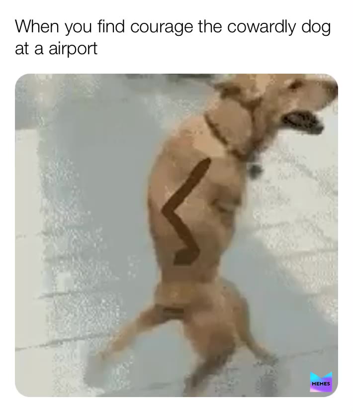 😂😂