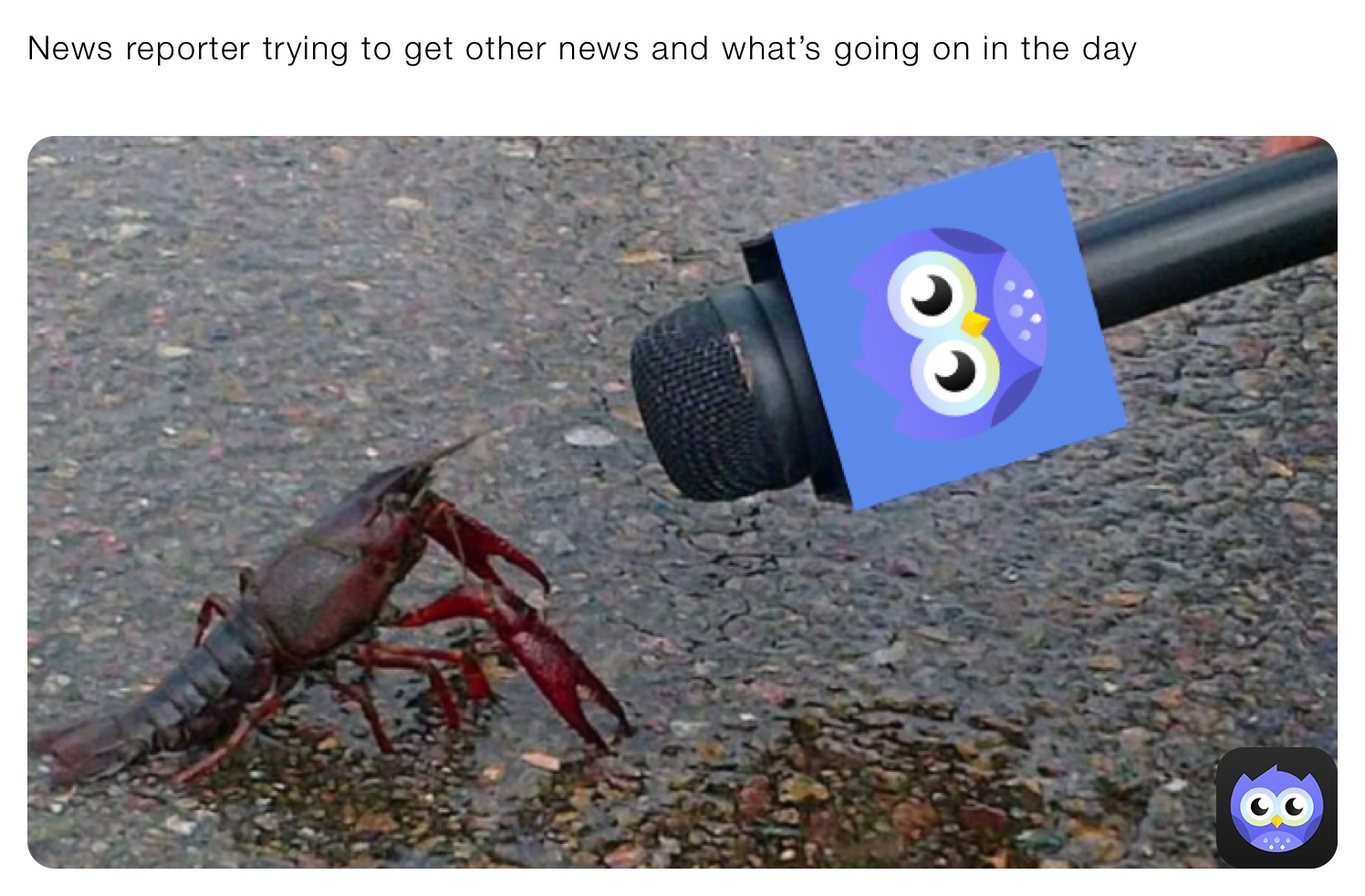 News reporter trying to get other news and what’s going on in the day
￼￼