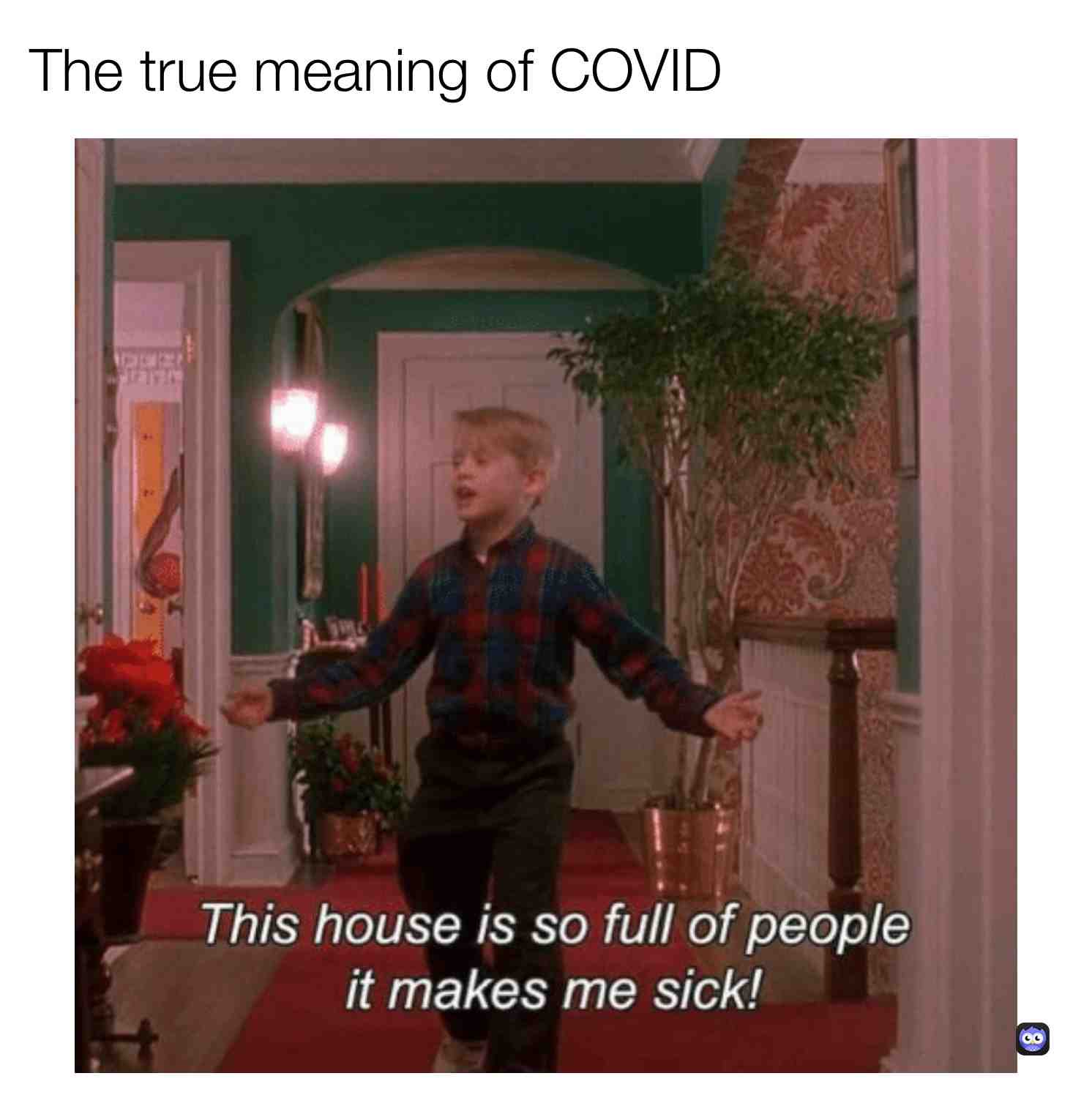 Meme preview