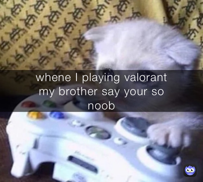 whene I playing valorant  whene I playing valorant 
my brother say your so
noob
