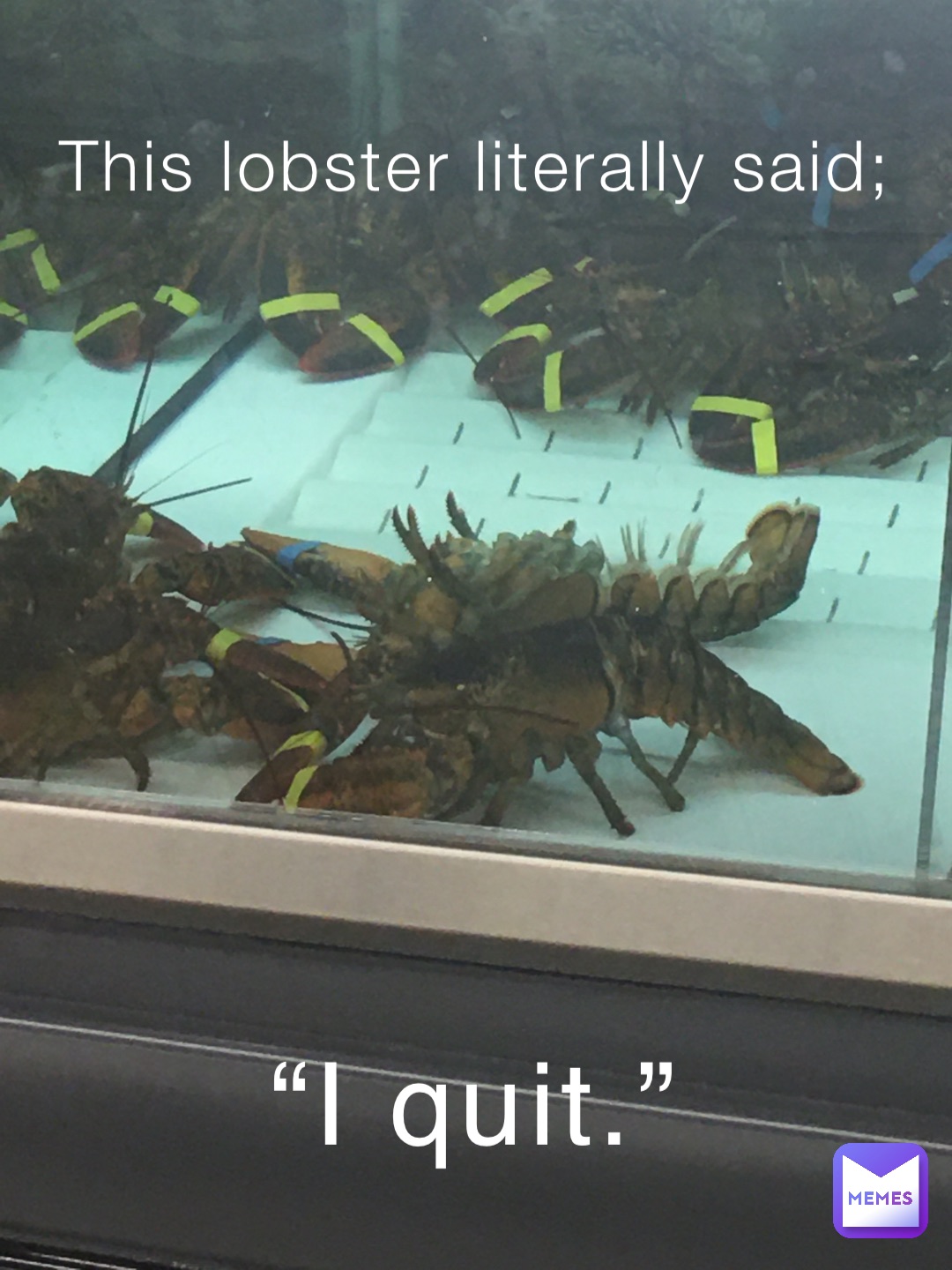 This Lobster Literally Said; “I Quit.” | @173_da_Holy_Peanut | Memes