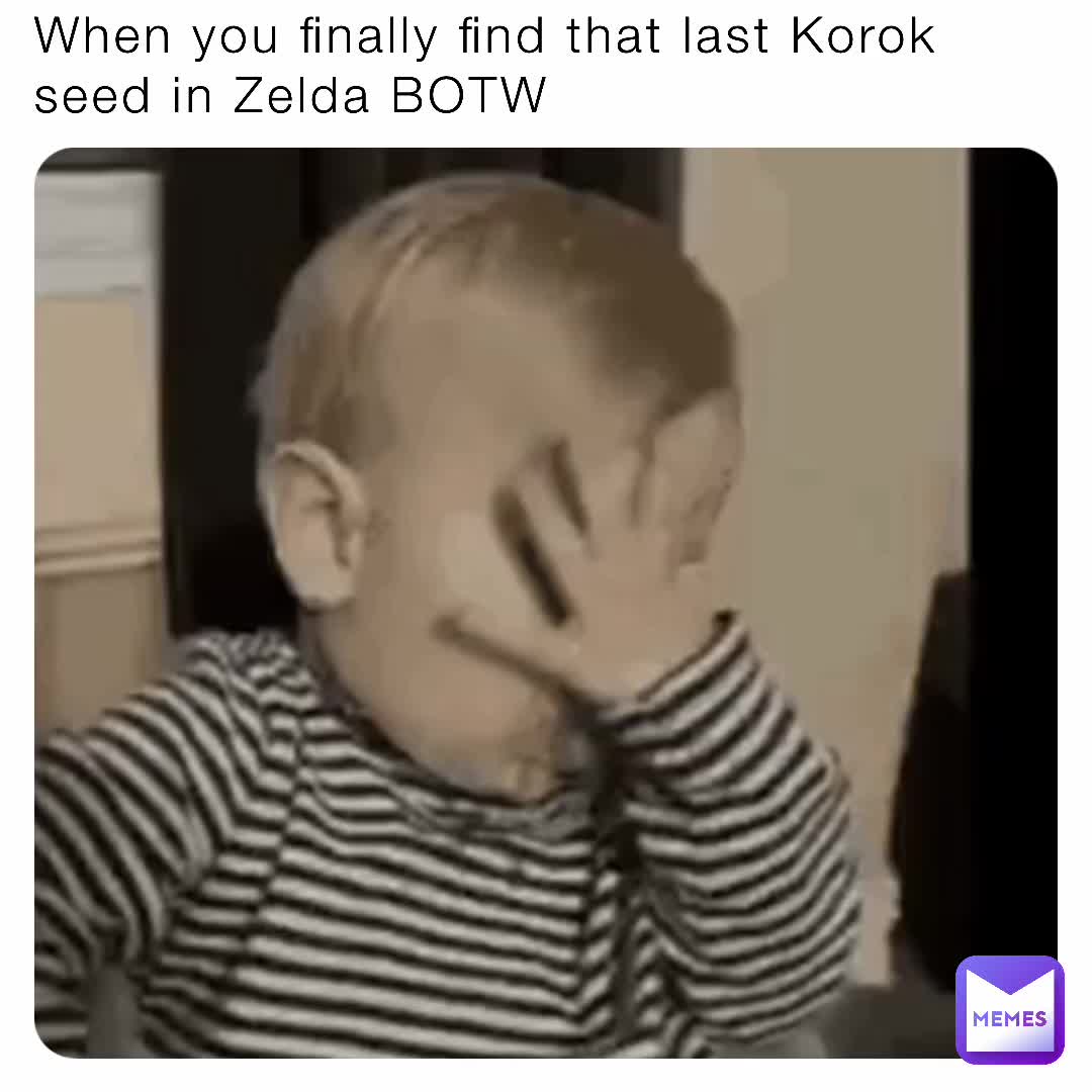 Anyone who’s played BotW will understand this