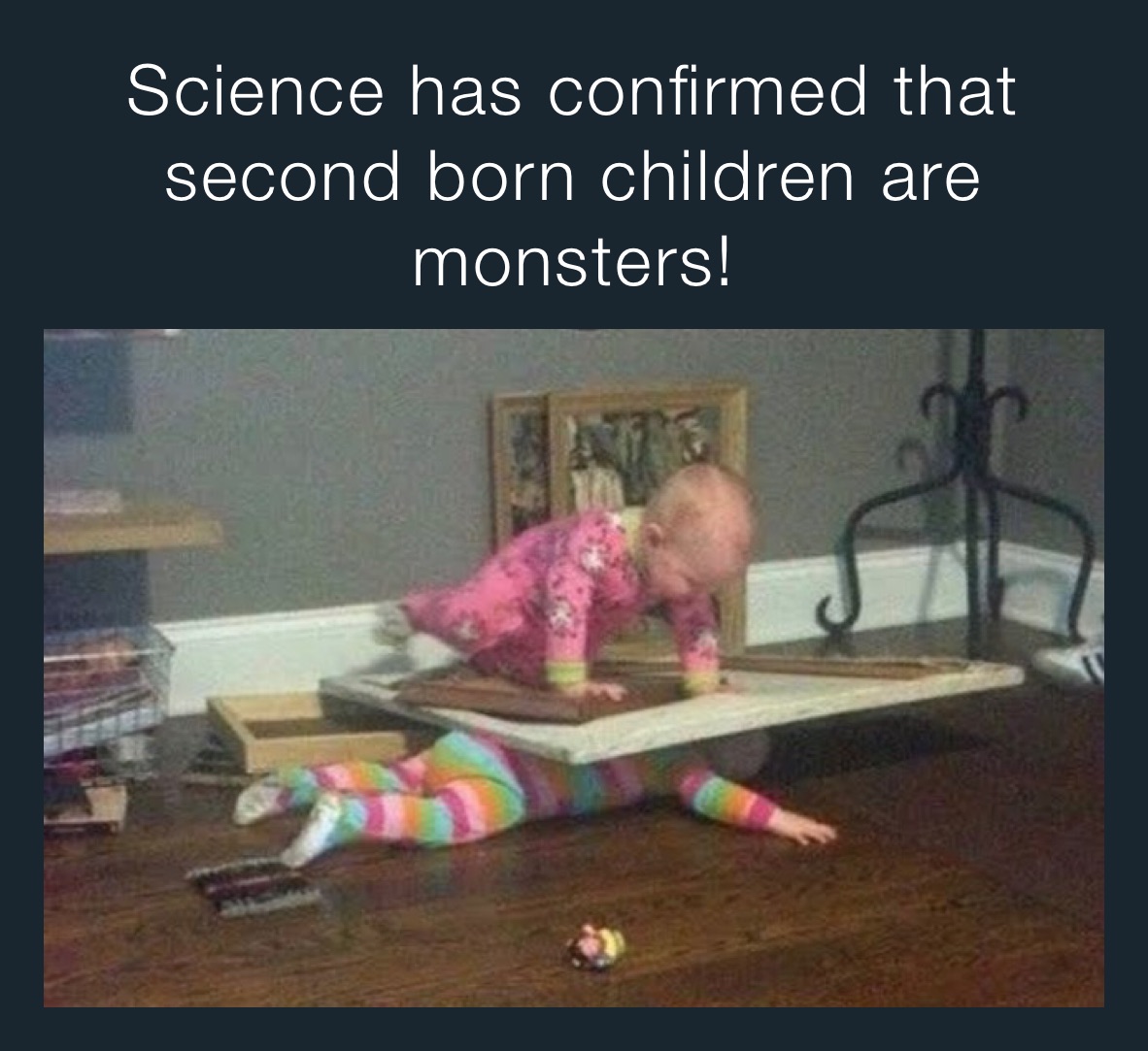 Science has confirmed that second born children are monsters!