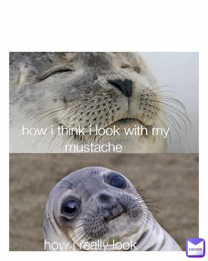 how i really look how i think i look with my mustache 