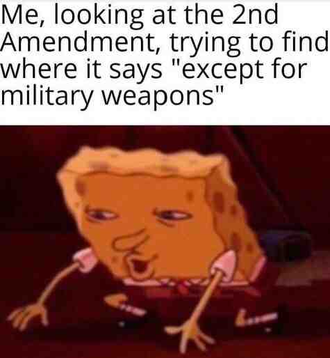 Meme shared by @https.meister.gov