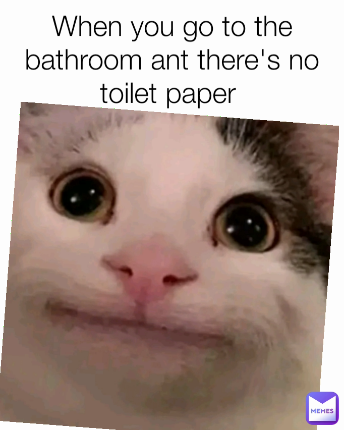 When you go to the bathroom ant there's no toilet paper 