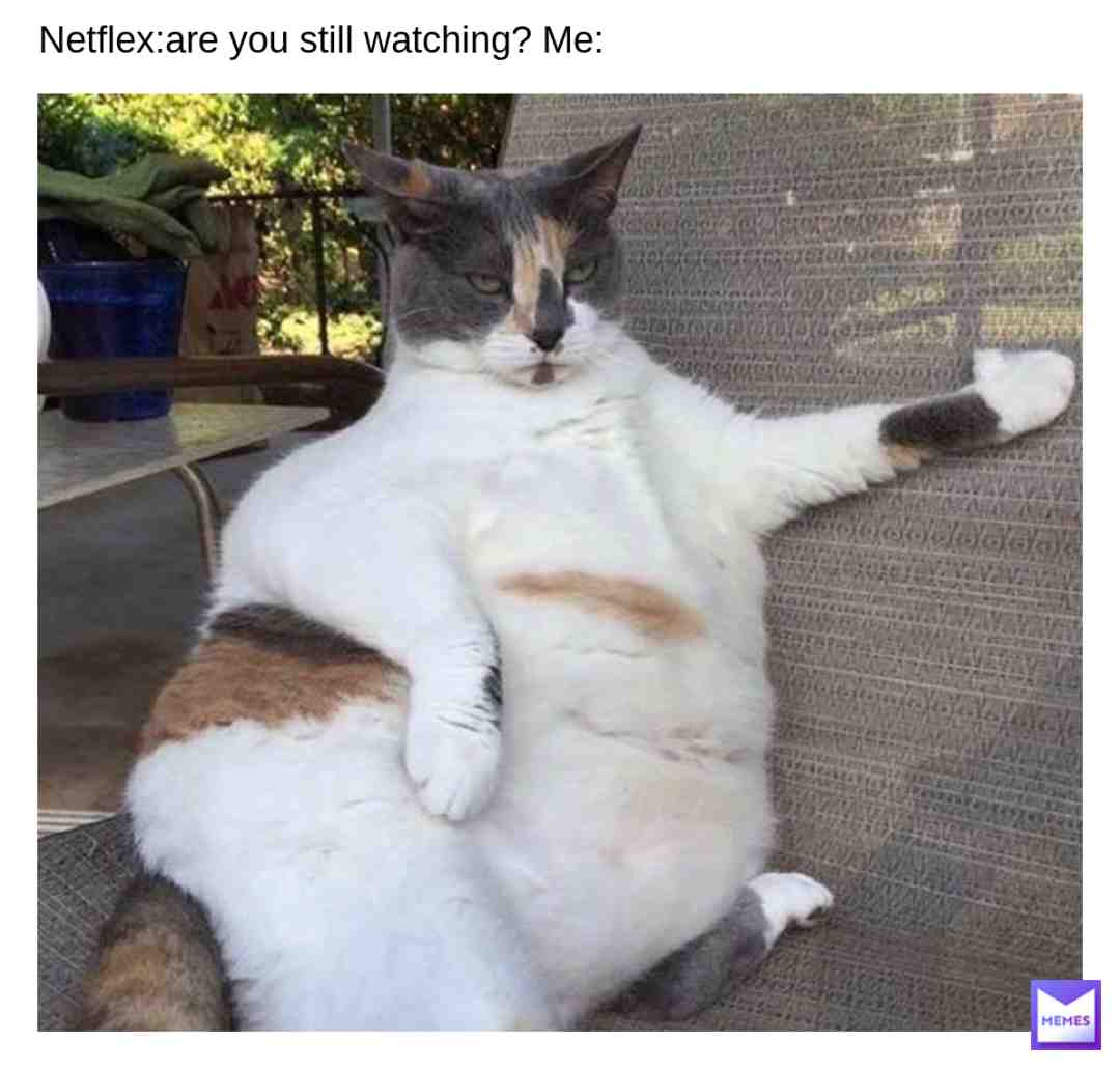 #cats
