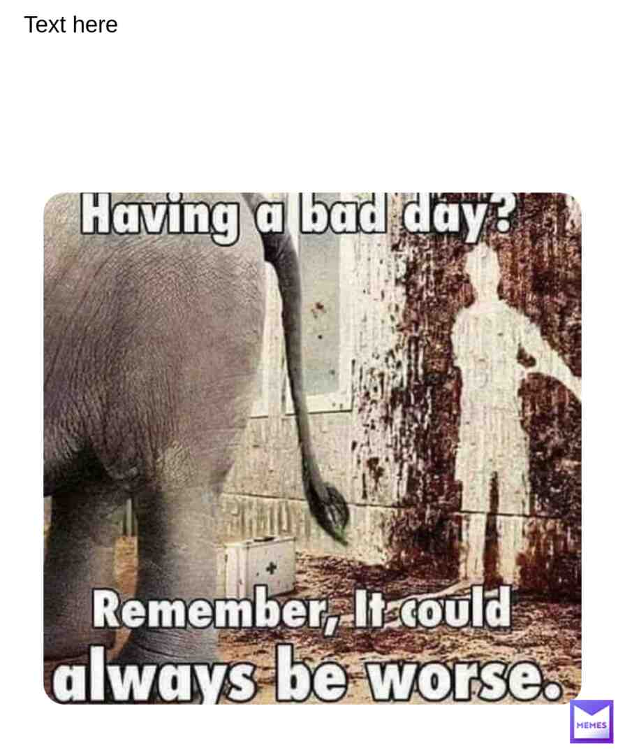 Meme shared by @toga_lover