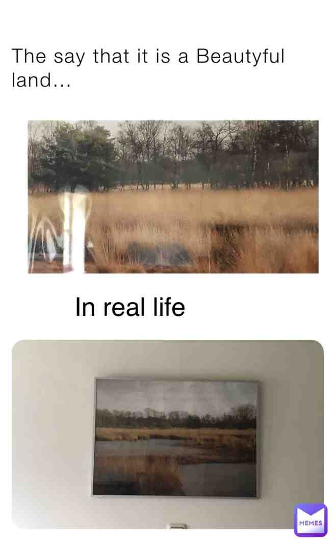 Meme shared by @Daisy_Flower