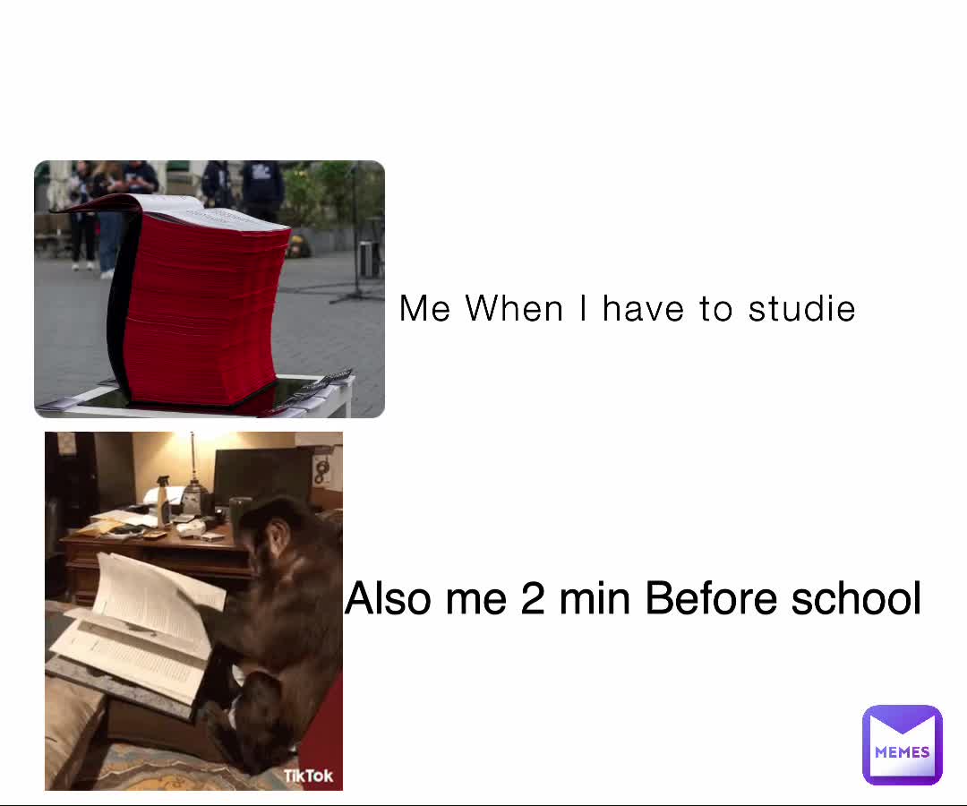 Meme shared by @Daisy_Flower