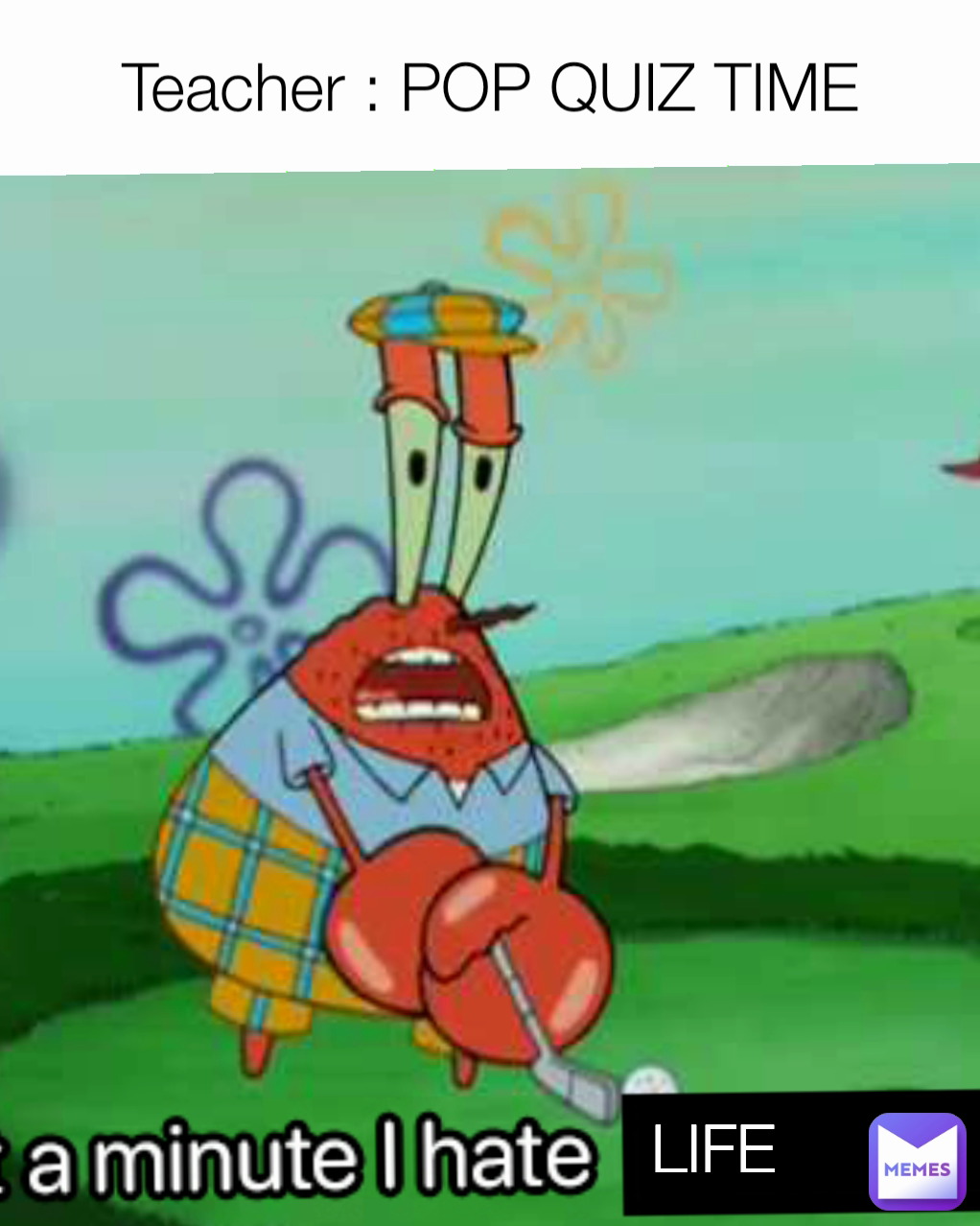 Teacher : POP QUIZ TIME
 LIFE