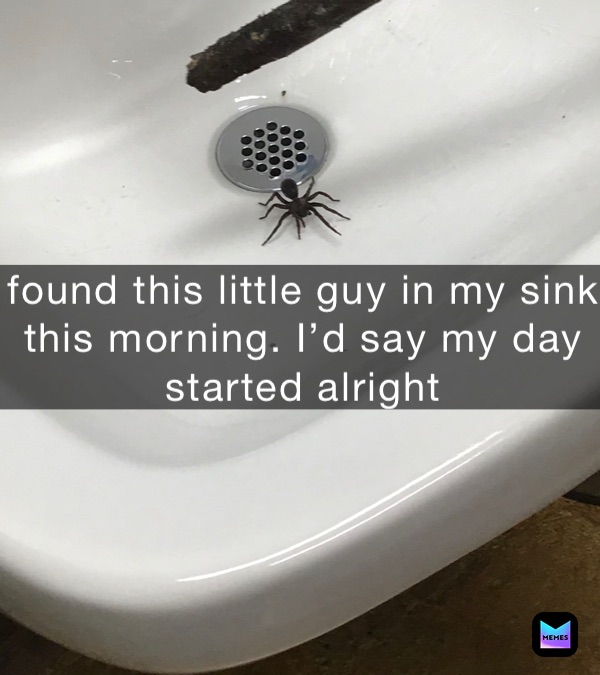 found this little guy in my sink this morning. I’d say my day started alright