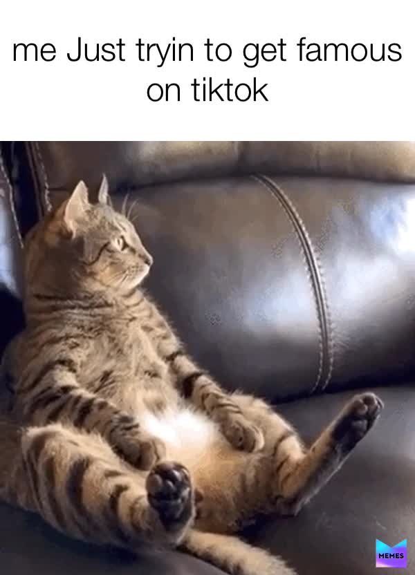 Meme shared by @memes89