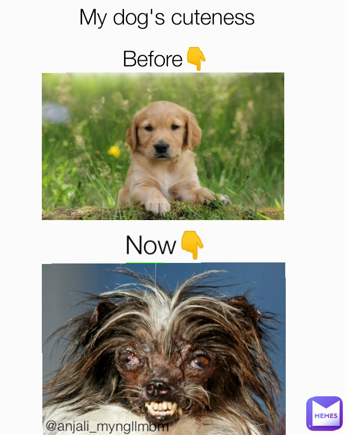 Meme by anjali_myngllmbm