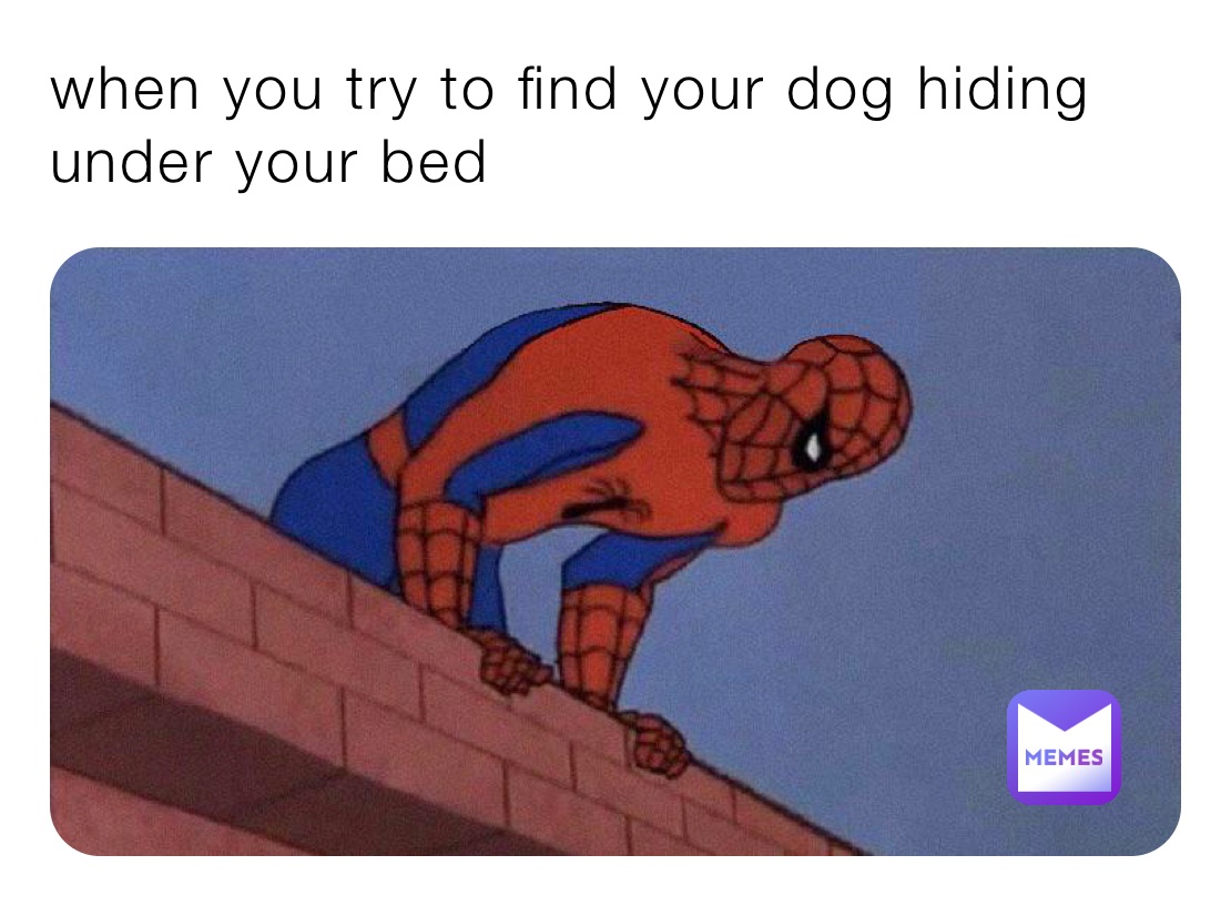 when you try to find your dog hiding under your bed | @MemeyJJ | Memes