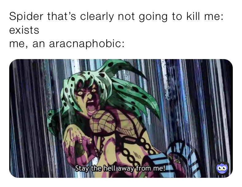 Spider that’s clearly not going to kill me: exists
me, an aracnaphobic: