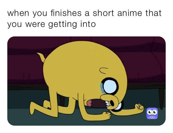 when you finishes a short anime that you were getting into