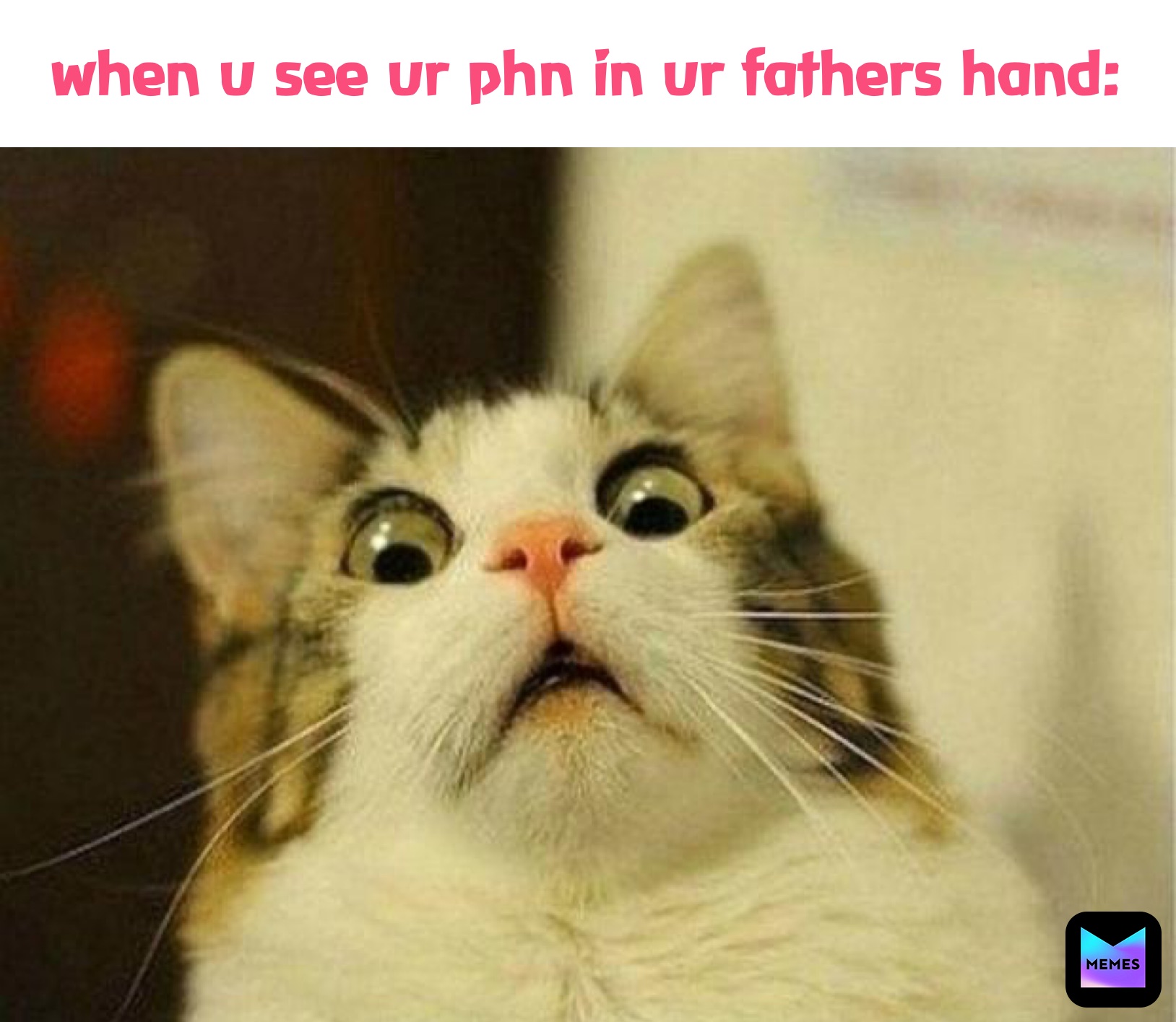 Meme by heartless_girl