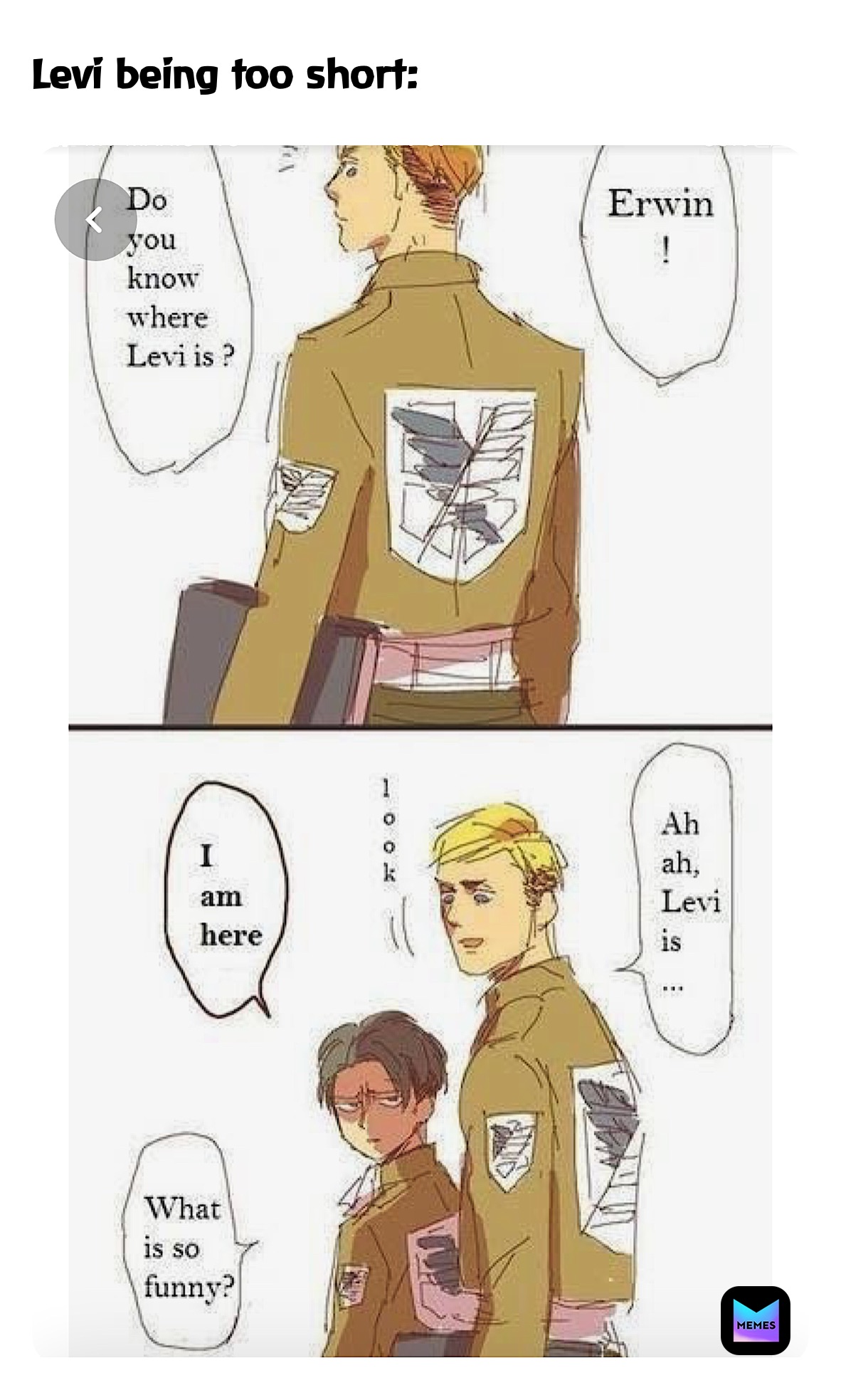 Meme by reneeleongunicorn