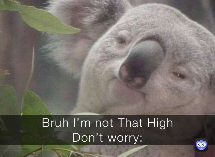 Bruh I’m not That High
Don’t worry: