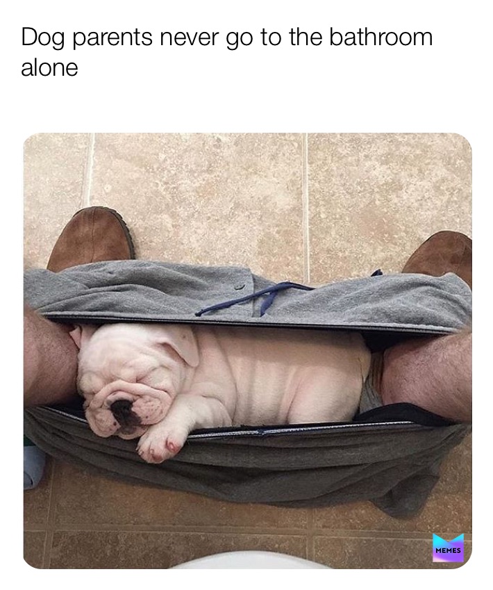 Meme by kearnsicle_on_insta