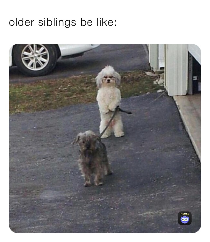 older siblings be like: