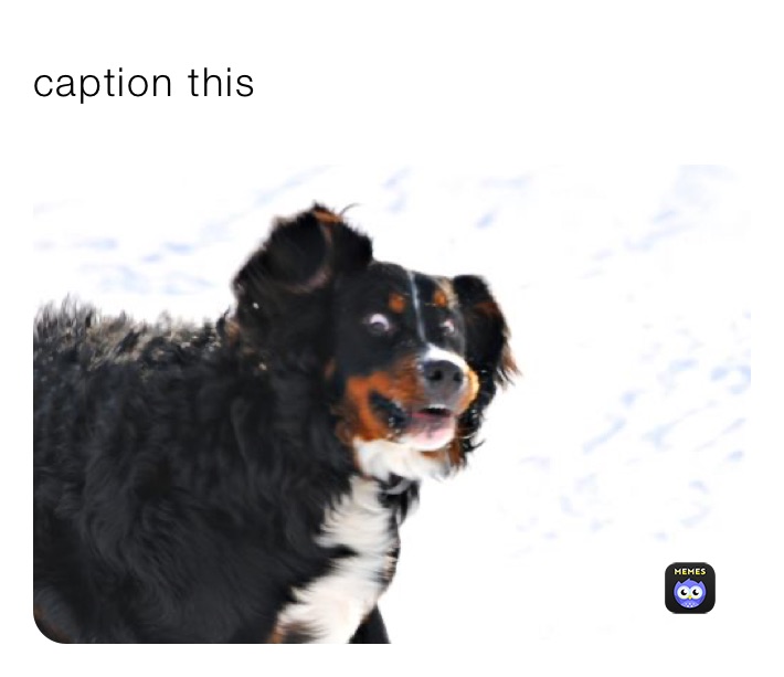 caption this