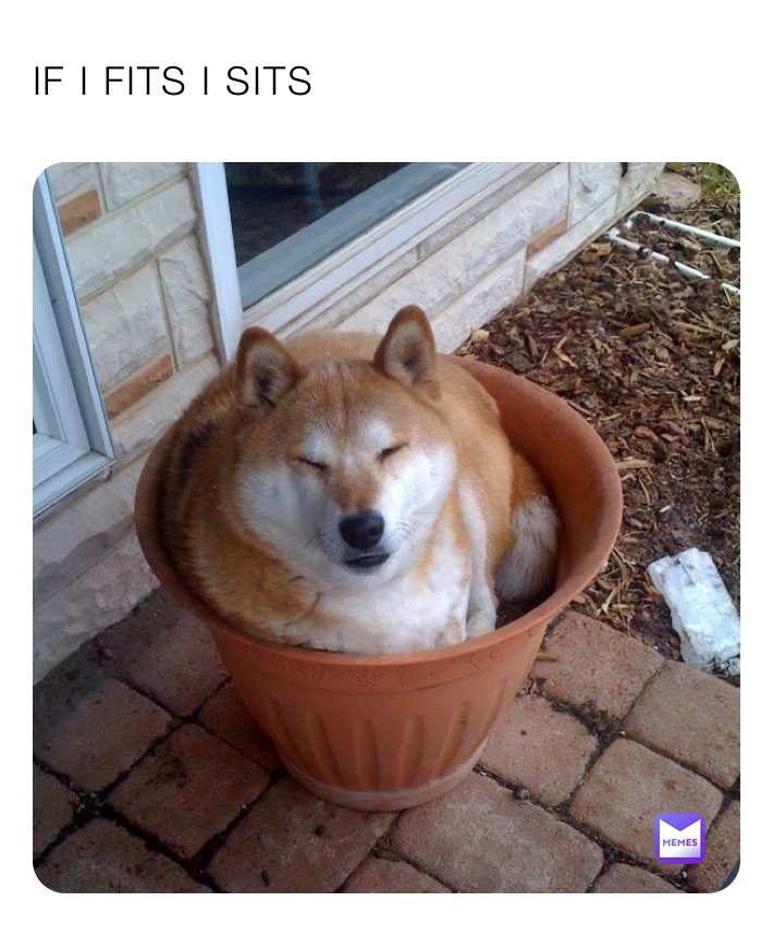 IF I FITS I SITS